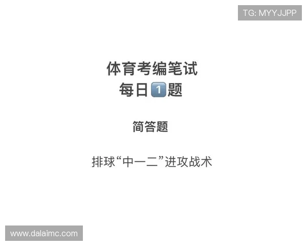 排球战术解析：进攻与防守阵型全攻略